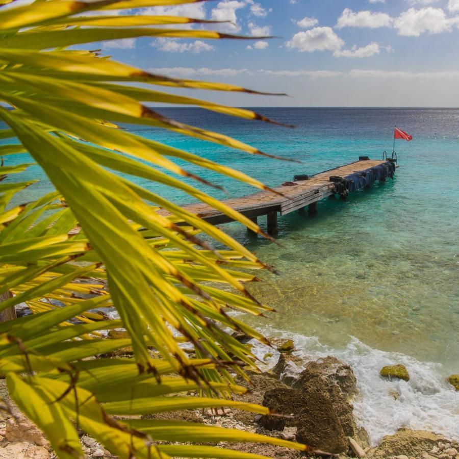 Piscadera Bay Resort 79 ウィレムスタッド エクステリア 写真